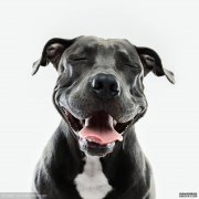 警惕四个避孕谣言让女性走入误区